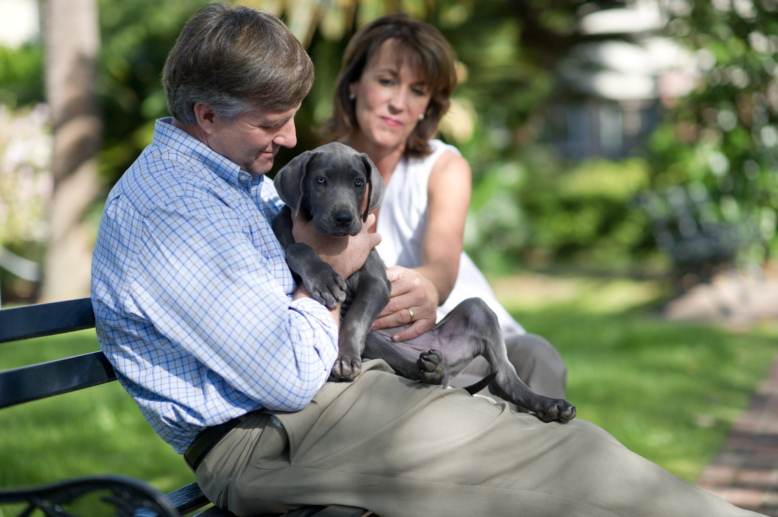 a man and woman sitting on a bench with a puppy