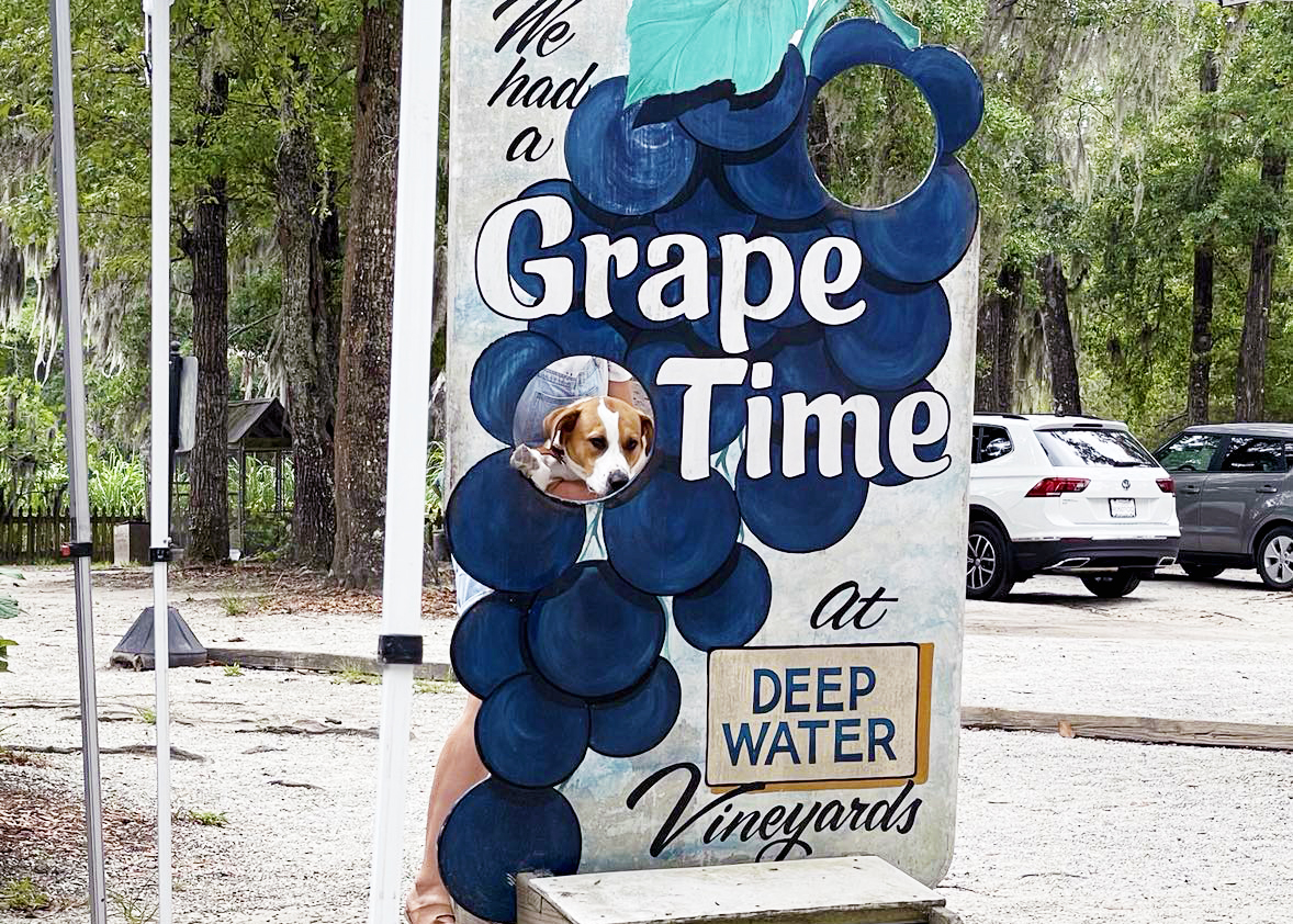 deep water winery