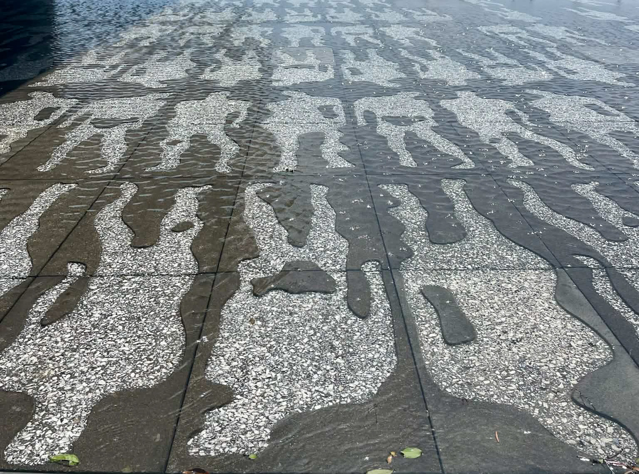 International African American Museum