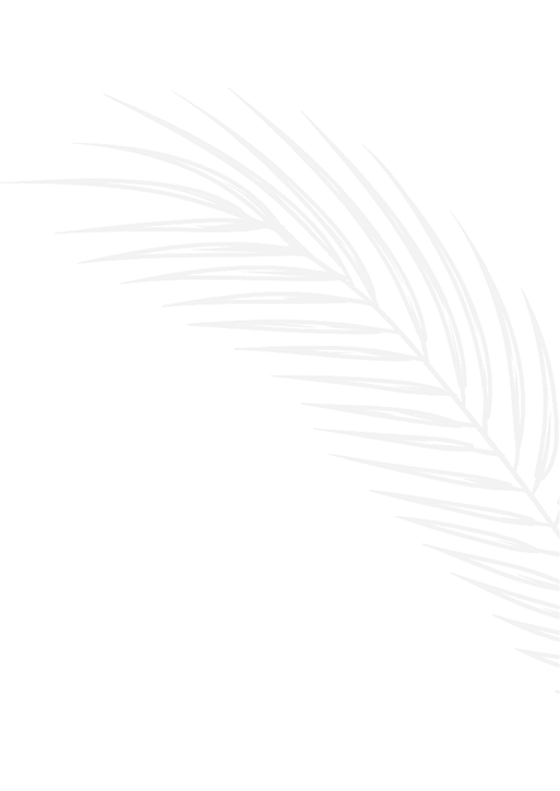 palm frond illustration