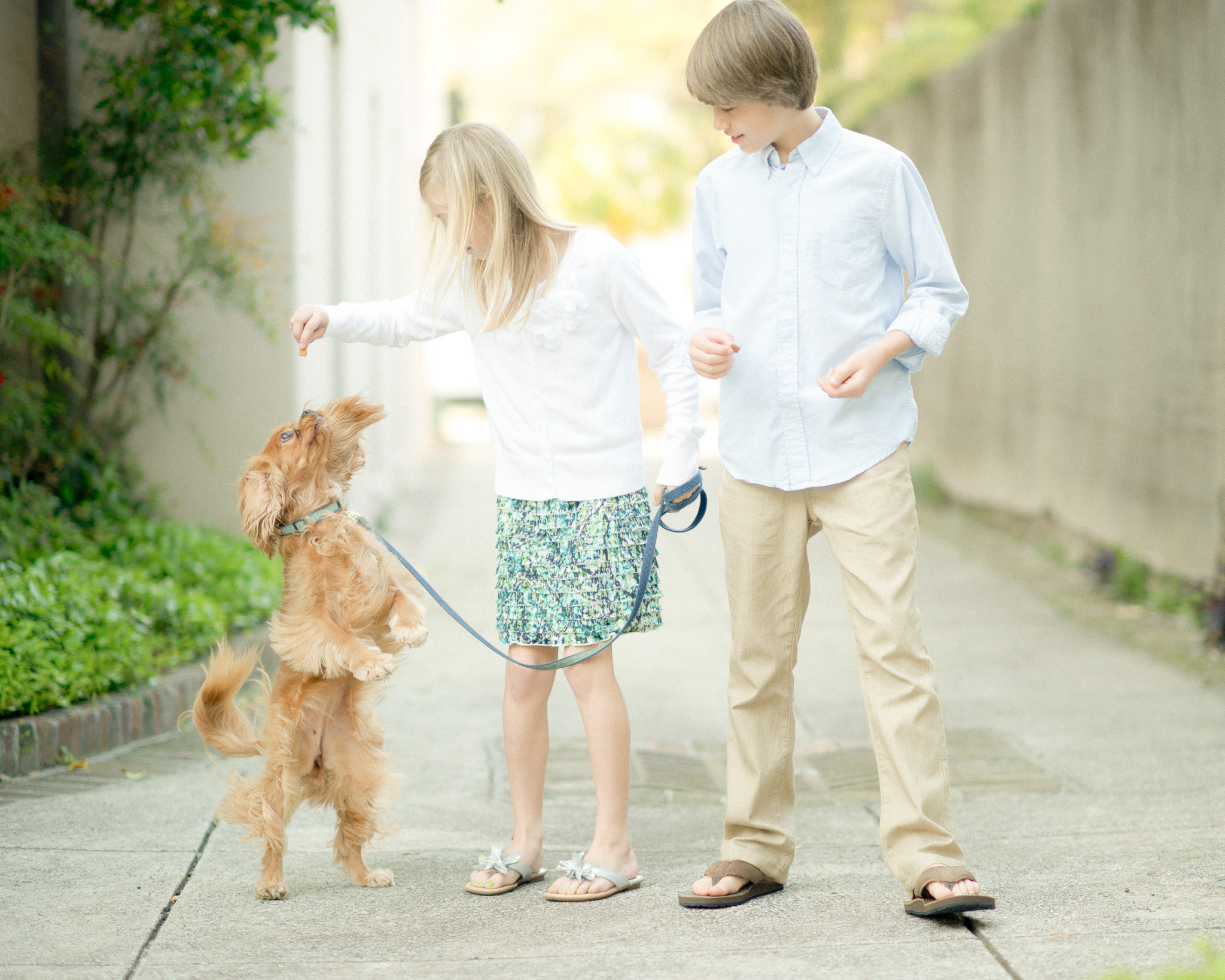 Dog and children at John Rutledge House Inn