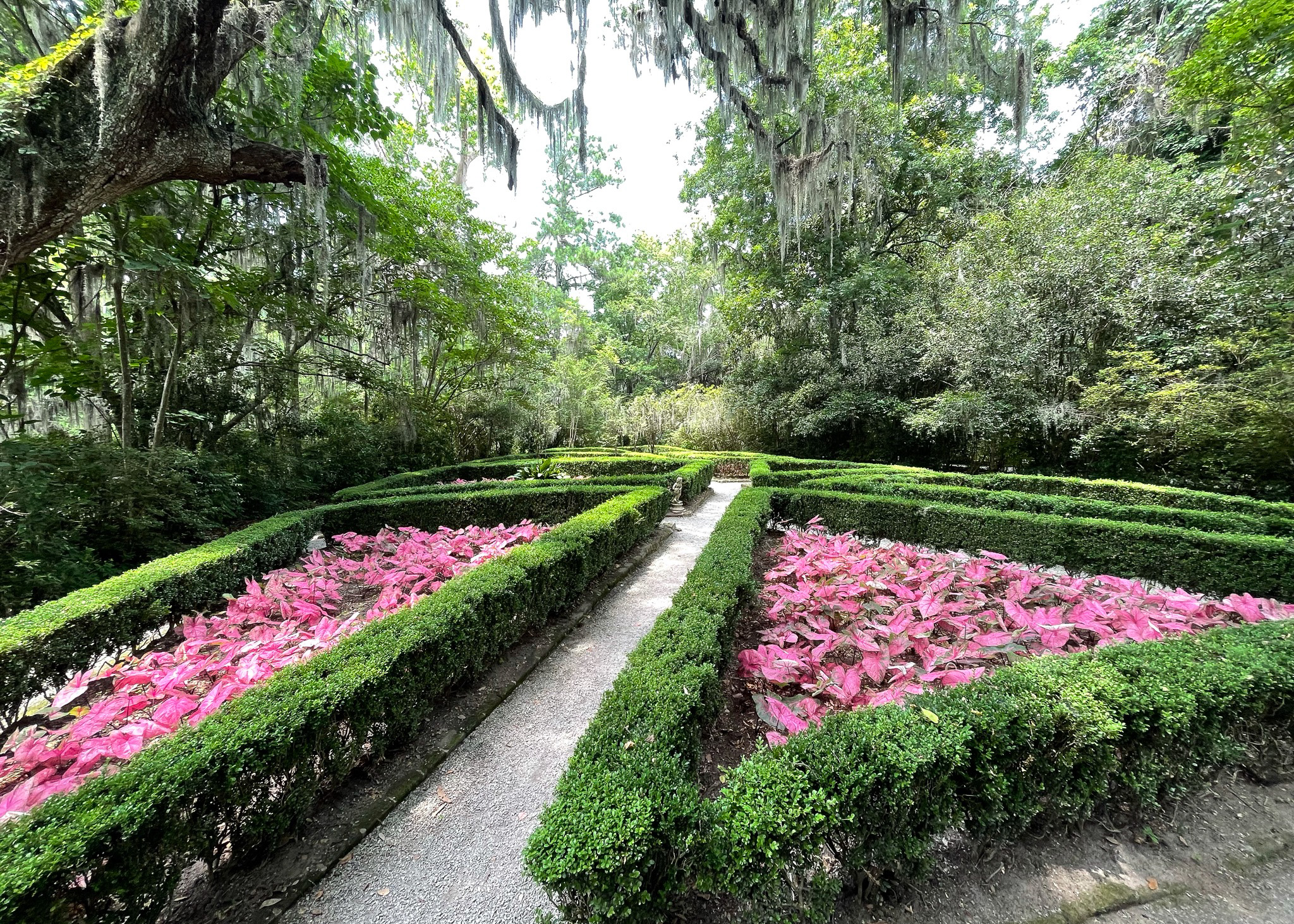 Magnolia Gardens in Charleston