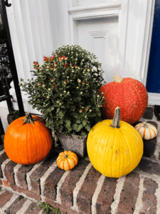 Fall pumpkins